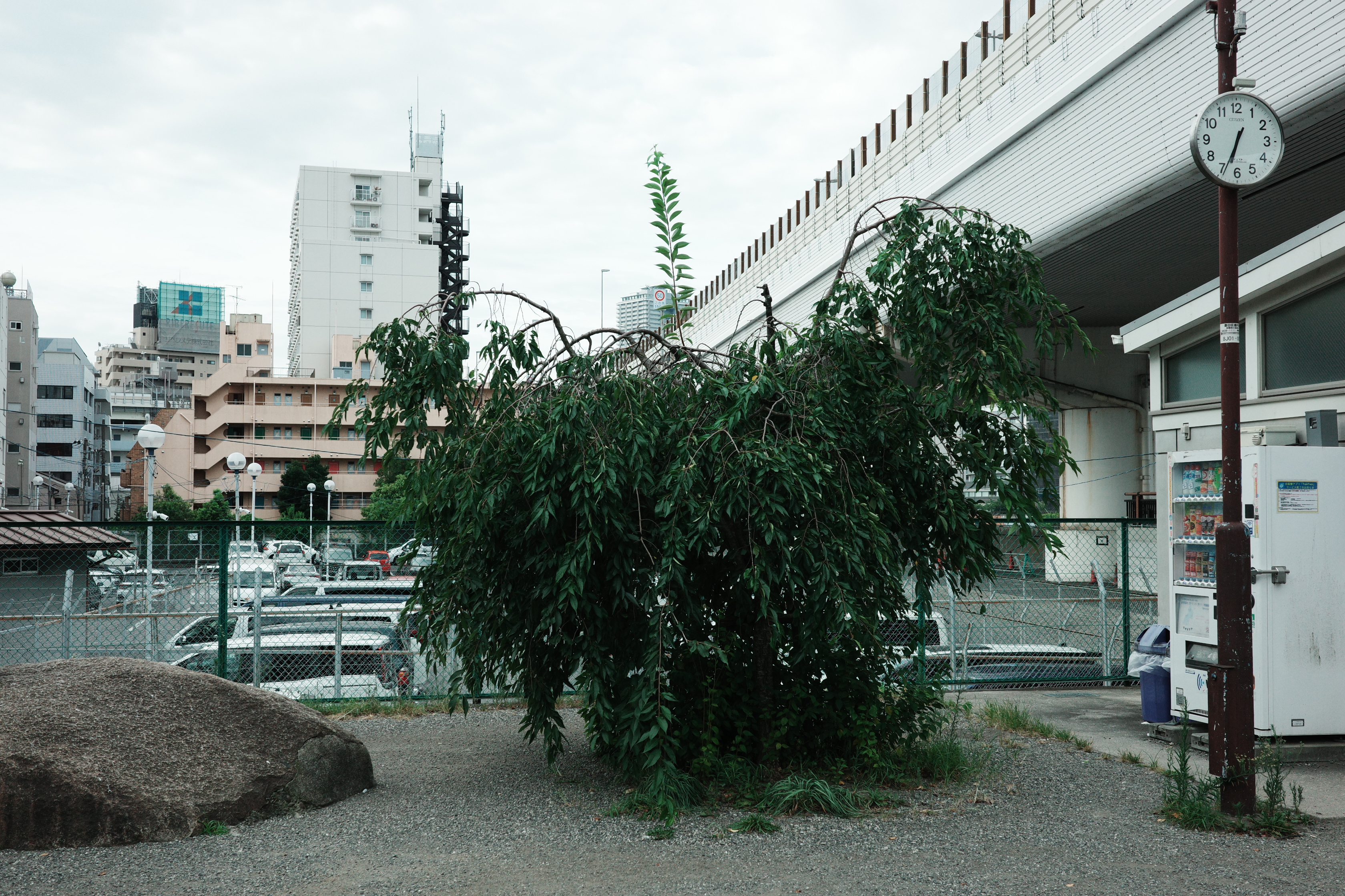 おばけみがある